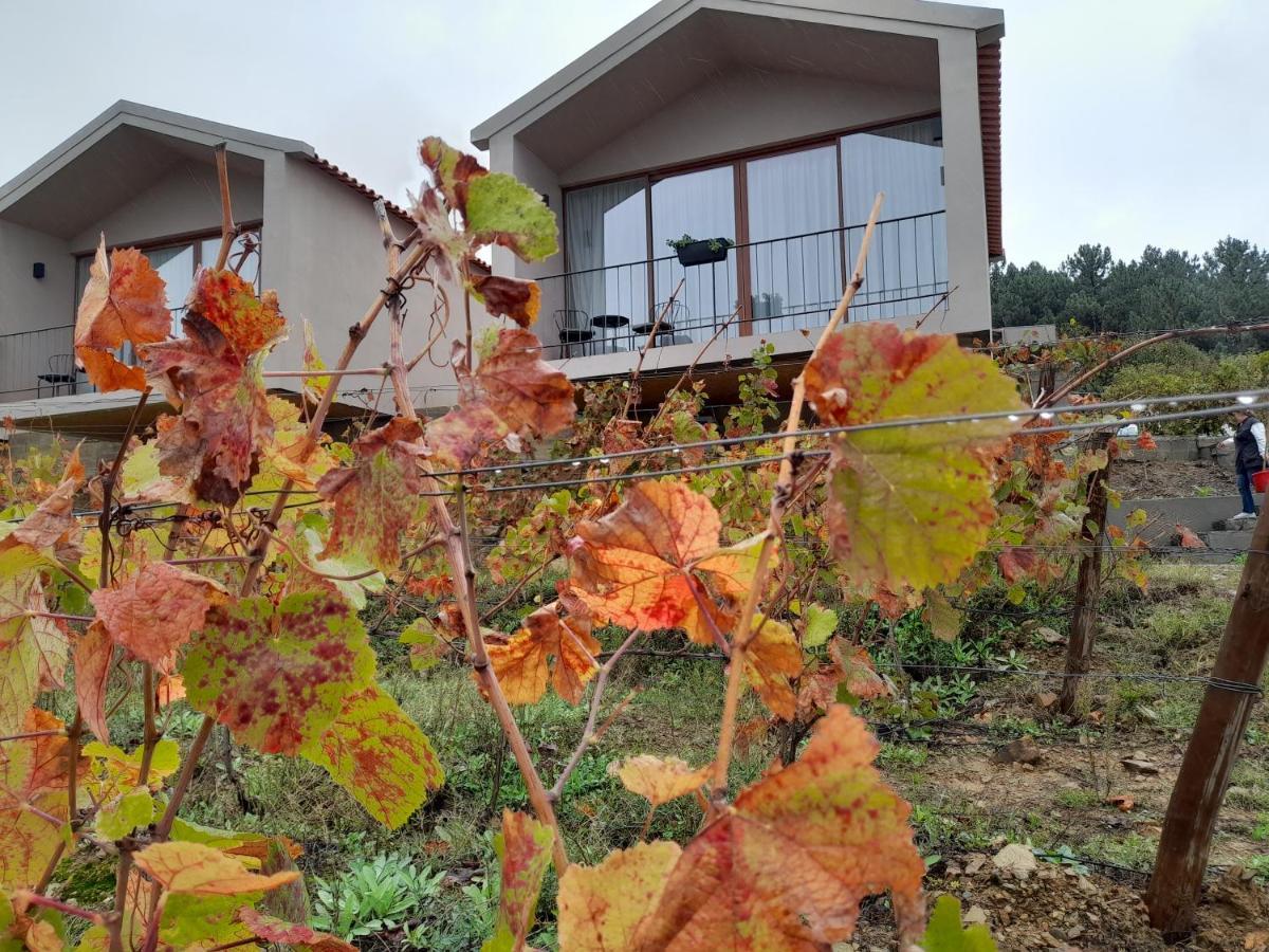 Quinta Manhas Douro * Provesende